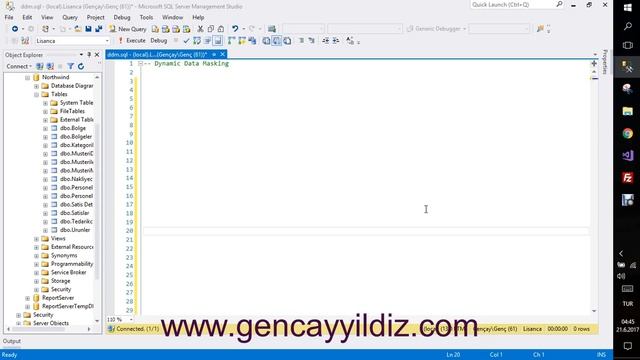 132-) SQL Server 2016 Dynamic Data Masking Giriş смотреть онлайн