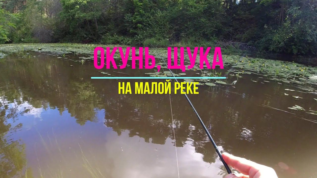 #436 #мормышинг | Малая река - окуня полна | смотреть онлайн