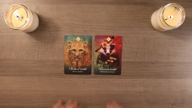 Trust & Keep Moving! | December 9th Daily Oracle Card Reading смотреть онлайн