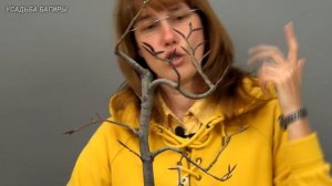 08.Бонсай из бука (ч.8).