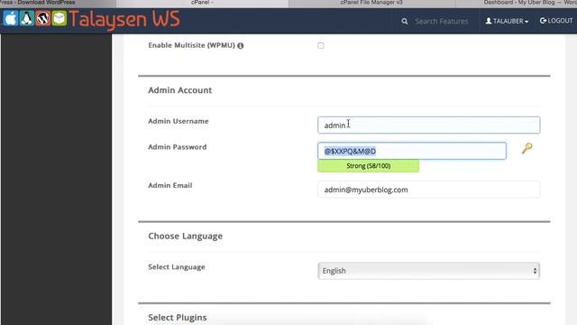 Installing WordPress with Softaculous in cPanel смотреть онлайн