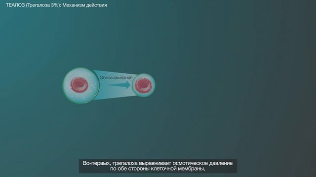 Теалоз - новое слово в лечении синдрома сухого глаза смотреть онлайн