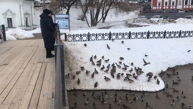 Оттепель Сергиев Посад смотреть онлайн