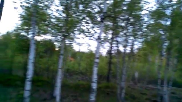 Хорошо на ДАЧЕ - Соловьи поют смотреть онлайн