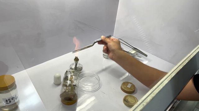 DIY Plant Tissue Culture Set Up: How to use your Aseptic Culture Starter Kit смотреть онлайн