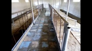 Коровник на 20 голов!!!