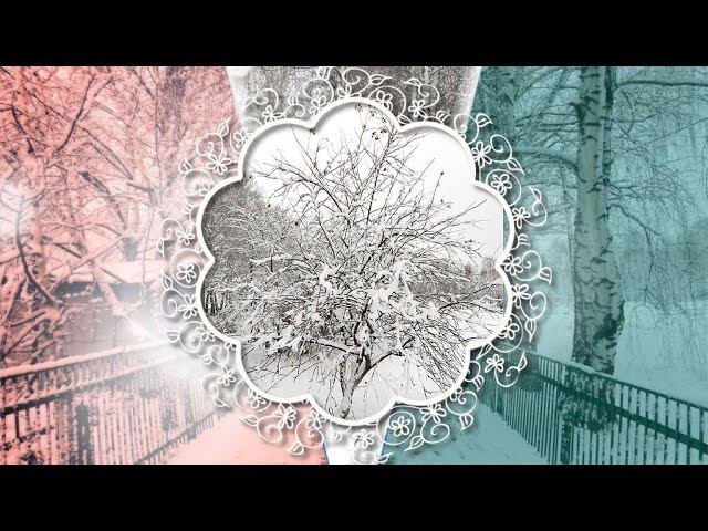 Проект ПроШоу Продюсер 