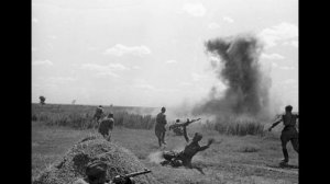 Здесь птицы не поют, деревья не растут