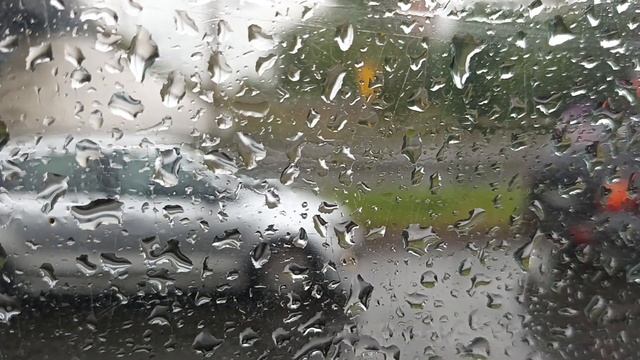 Поездка на троллейбусе по маршруту 7 (Лыжная - Ровио - Корабелов) на 399 смотреть онлайн