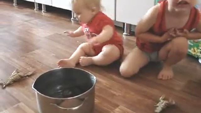 Дети и кастрюля с раками смотреть онлайн