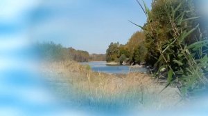 Оздоровление слуховых нервов  Настрои академика Сытина Г.Н.