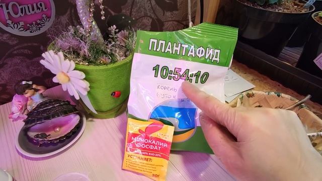 ПЕТУНИЯ КОГДА И КАК ПИКИРОВАТЬ ПЕТУНИЮ 2022 смотреть онлайн