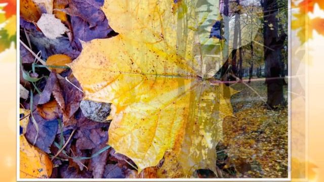 Осенняя палитра смотреть онлайн