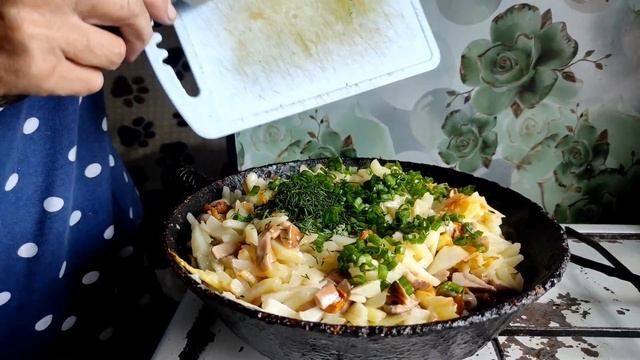 Время собирать грибы. Картошечка с грибами. Разные виды флокс смотреть онлайн