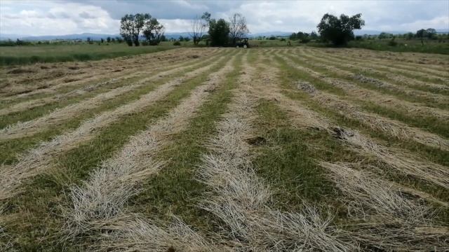 Dong feng 244, ворушіння та згрібання сіна граблями wirax смотреть онлайн