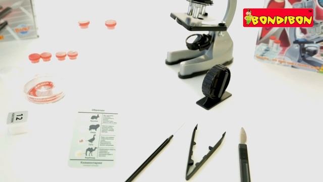 Опыты Науки с Буки Микроскоп BONDIBON 30 экспериментов смотреть онлайн
