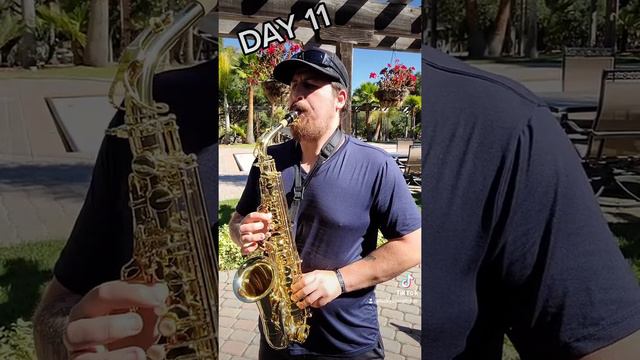 Day 11 of practice! 🎷 #luckysax #luckysaxophone #saxman #saxtok #altosax #saxaphone #heartofgold смотреть онлайн