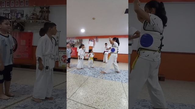 practicing kick of karate #karate #dojo #losguayos #venezuela #karatedo #kobudo #jiujitsu #aikido смотреть онлайн