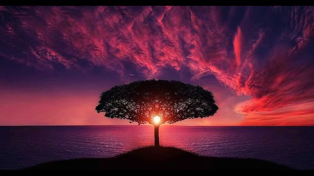 Как легко уснуть? Музыка для сна и медитации со звуками птиц и природы. смотреть онлайн