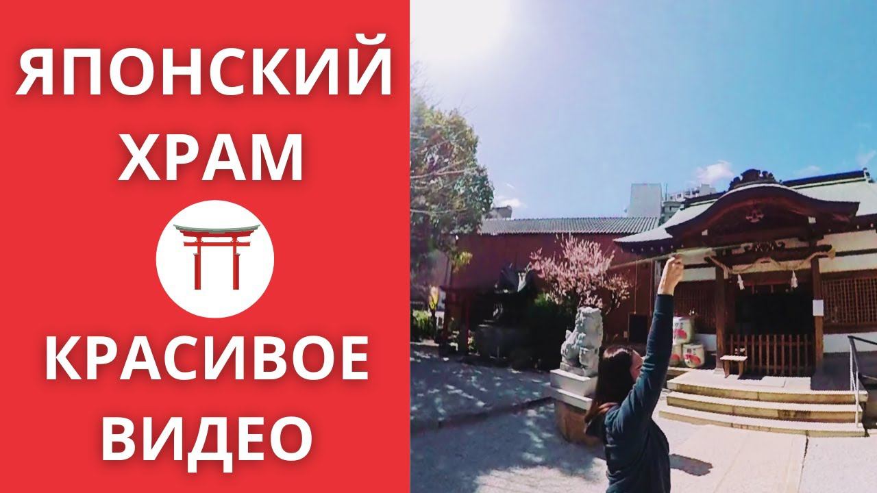 Японский храм в центре города. #shorts смотреть онлайн
