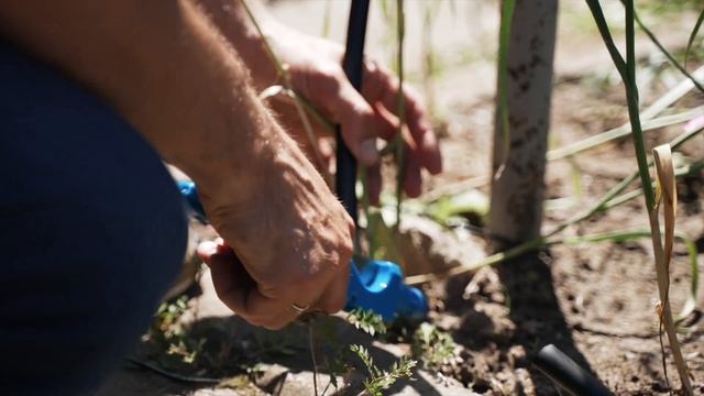 Как настроить автополив для НАВЕСНЫХ ГОРШКОВ? | Капельный полив своими руками смотреть онлайн