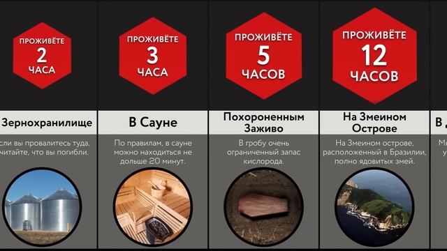 Сколько Можно Прожить В ___? смотреть онлайн