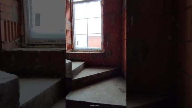 Рецензии и анализы