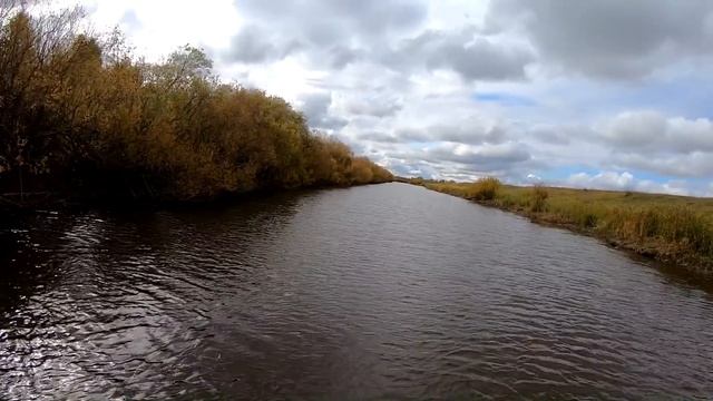 ОСЕННЯЯ РЫБАЛКА КАСТИНГОВОЙ СЕТЬЮ АМЕРИКАНСКОГО ТИПА... смотреть онлайн