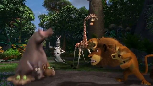 Madagascar Gloria squashes Fossa смотреть онлайн