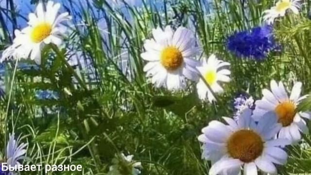 Мастерство и Радость