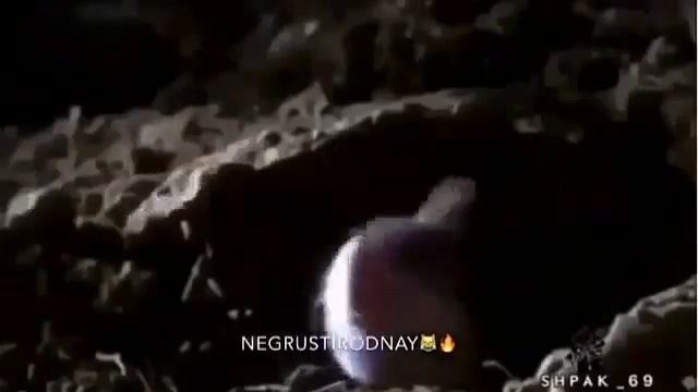 Жена завет мужа 😂 смотреть онлайн