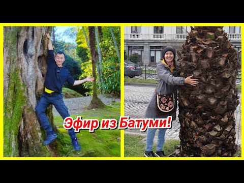 Эфир из Батуми! смотреть онлайн