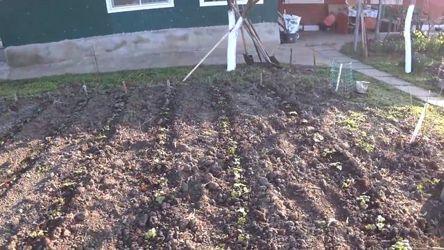 Он еще послужит покрасила🌈 Готовим место для цыплят 🐤🐥Занимаемся хозяйством🐤🥚😻Свой дом🏡 смотреть онлайн