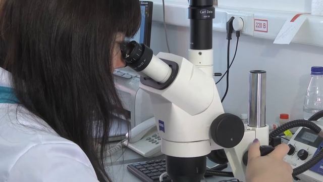 ФГБУ "ВНИИКР": Карантинная фитосанитарная диагностика смотреть онлайн