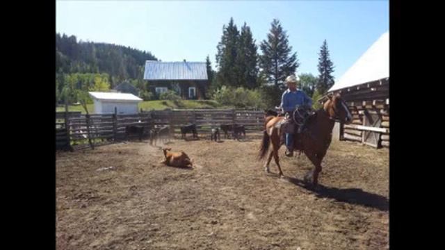 The SPIRIT OF THE WEST Program #22004 Week of January 25, 2020 смотреть онлайн