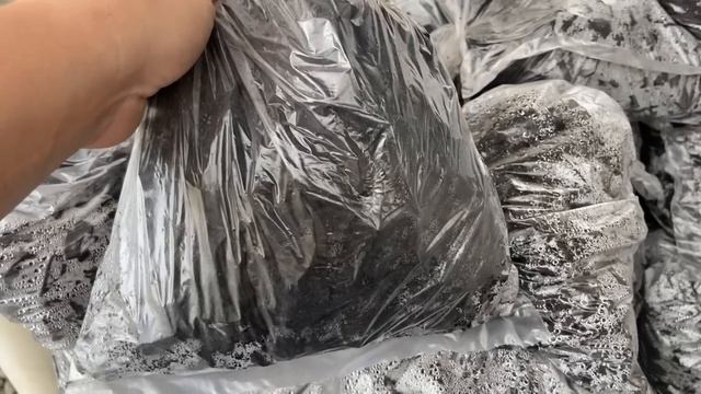 NOVIDADES e PROMOÇÕES da SEMANA - Suculentas 20/07 смотреть онлайн