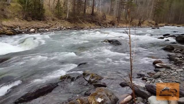 Горная река Чемал (Чемалка)/Открытие водометного сезона в республике АЛТАЙ/Две лодки Solar 420 jet смотреть онлайн