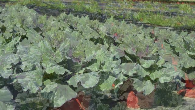 Weekly Availability 9-12-14