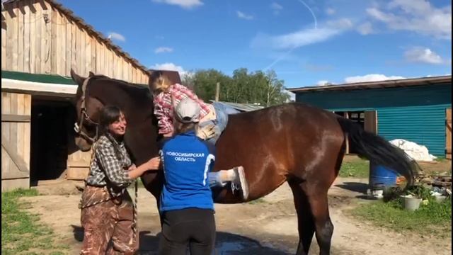 Прыжки на лошадь БЕЗ СЕДЛА смотреть онлайн