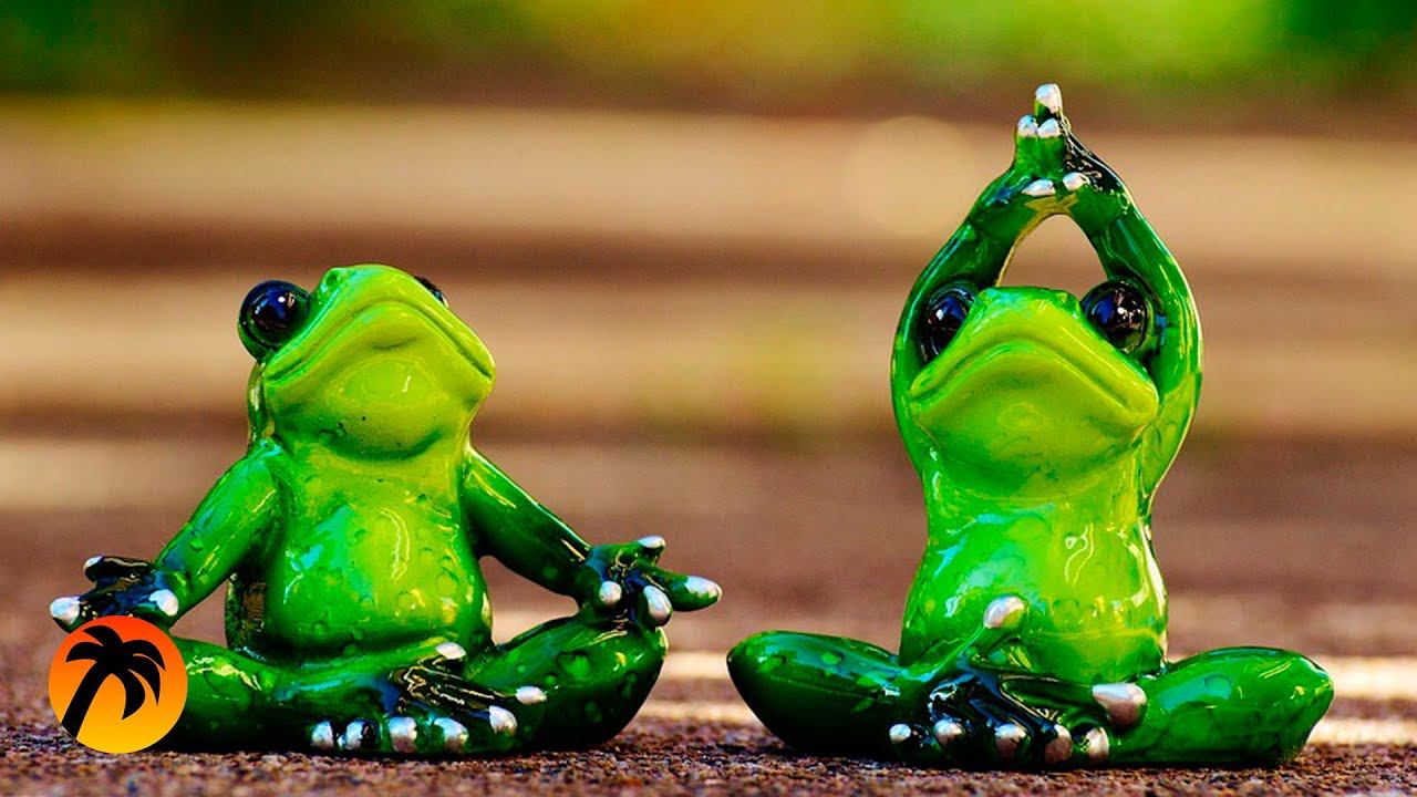 Frog Sounds On The Lake, Wind Noise, Birdsong And Other Sounds Of Nature