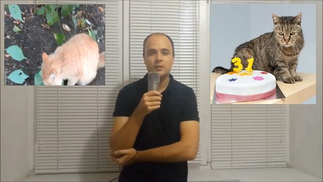Сколько живут кошки. Продолжительность жизни кошек смотреть онлайн
