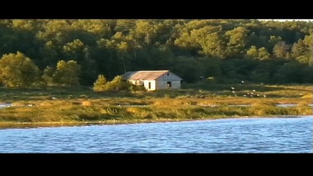 Власьево 2013 петровская коса смотреть онлайн