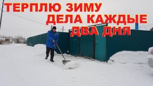 Дела зимой каждые два дня в своем доме