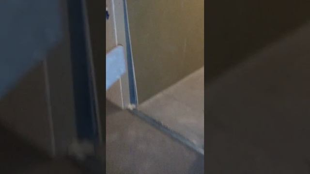 Наливной пол Weber Vetonit 4100. Толщина заливки 25-30 мм. Элитный ЖК на Крестовском Острове. смотреть онлайн