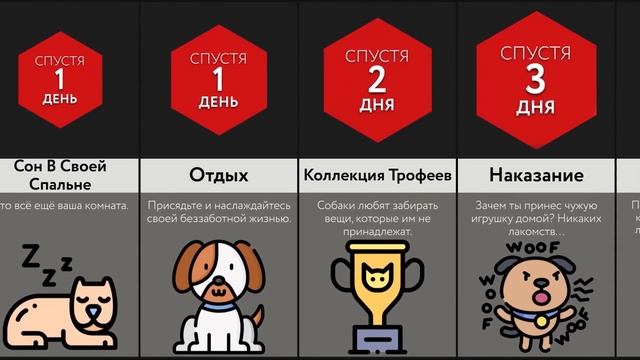 Если Вы Станете Собакой смотреть онлайн