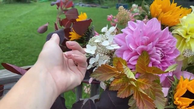 Proven Winners Quickfire Hydrangea: 4 Seasons | Simply Bloom @pwcolorchoice @ProvenWinnersYouTube