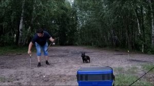 Фидер KAIDA INSPIRON vs ВОЛЖАНКА ОПТИМА | Обзор Фидеров 3,6м до 60 грамм