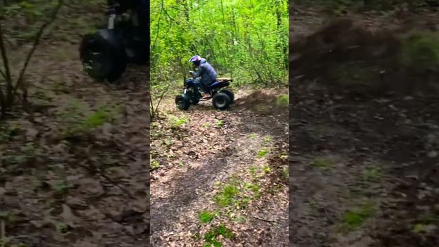 Bashan 200 смотреть онлайн