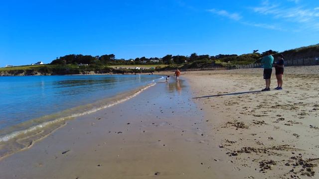 Cornwall 🇬🇧 Walking Tour South West Coast Path 4K 🌞 Relaxing Waves Beach Walk 🦭 Seal Encounter Vide