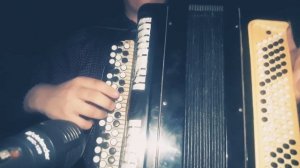 Ягода Малинка на баяне